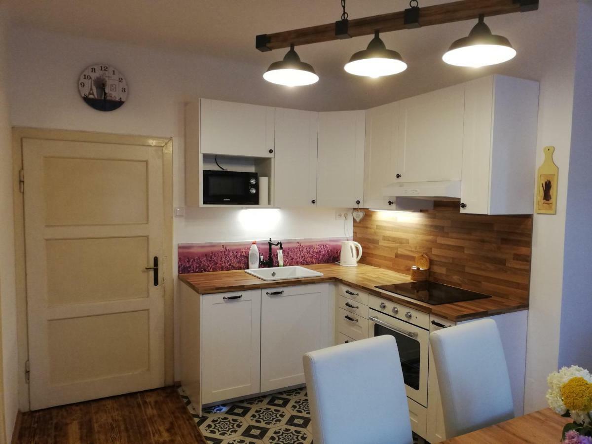 Villa Oliva Český Krumlov Dış mekan fotoğraf