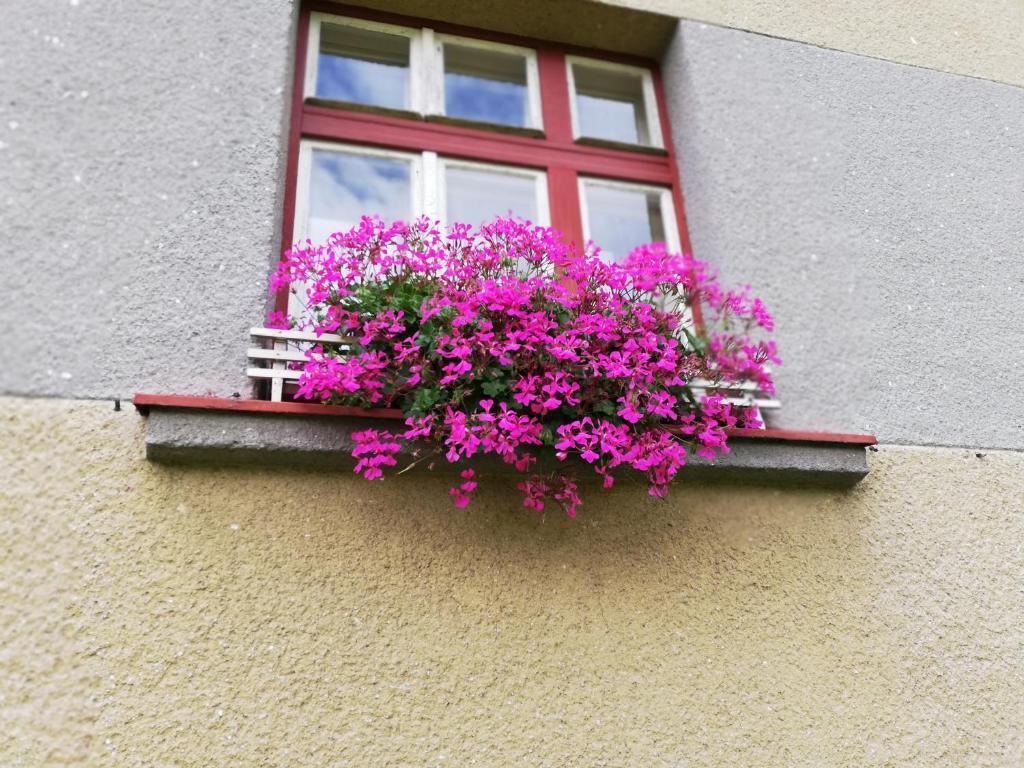 Villa Oliva Český Krumlov Dış mekan fotoğraf